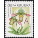 0745 - Gratulačn&iacute; motiv - Orchideje A