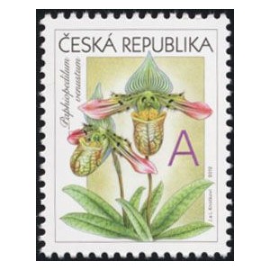 0745 - Gratulačn&iacute; motiv - Orchideje A