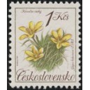 2990 - Křivatec česk&yacute;