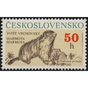 2955-2958 (s&eacute;rie) - Ochrana př&iacute;rody - chr&aacute;něn&iacute; savci