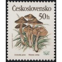 2909 - Zvonovka jarn&iacute;
