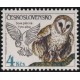 2761 - Sova pálená