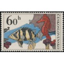 2142 - Okounovec malo&scaron;upinat&yacute; a kon&iacute;k mořsk&yacute;