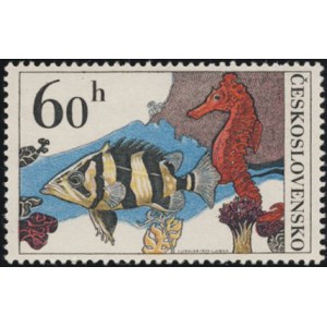 2142-2146 (s&eacute;rie) - Akvarijn&iacute; ryby