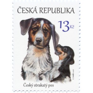 0875 - &Scaron;těňata &ndash; česk&aacute; n&aacute;rodn&iacute; plemena psů: Česk&yacute; strakat&yacute; pes