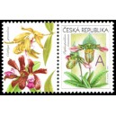 0745 KL - Gratulačn&iacute; motiv - Orchideje A