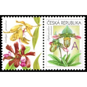 0745 KL1 - Gratulačn&iacute; motiv - Orchideje A