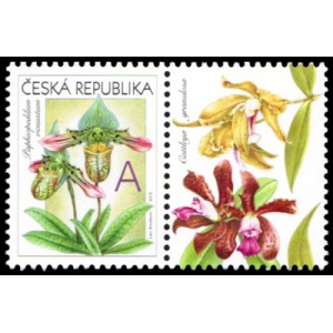 0745 KP1 - Gratulačn&iacute; motiv - Orchideje A