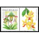 0745 KP3 - Gratulačn&iacute; motiv - Orchideje A