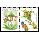 0745 KP4 - Gratulačn&iacute; motiv - Orchideje A