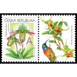 0745 KP4 - Gratulačn&iacute; motiv - Orchideje A