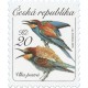 0908 - Vlha pestrá