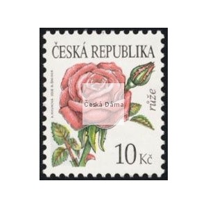 0543 - Kr&aacute;sa květů - růže