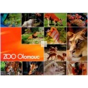 Olomouc, ZOO Svat&yacute; kopeček