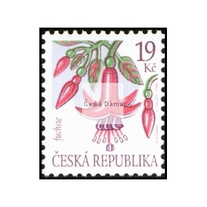 0428 - Kr&aacute;sa květů - fuchsie