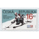 0960 - Monoski