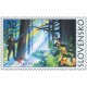 0330 - Lesy Slovenska: Dobročský prales