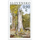 0497 - N&aacute;rodn&iacute; park Poloniny
