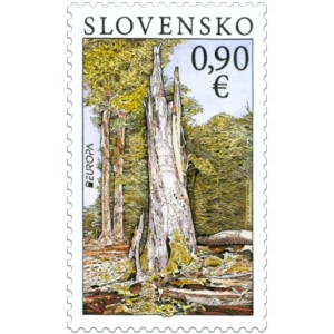 0497 - N&aacute;rodn&iacute; park Poloniny