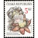 Hvězdovka Pouzarova - vzácné houby