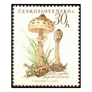 1018-1022 (s&eacute;rie) - Houby