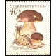 1019 - Hřib borový