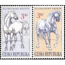 0123-123 - Kladrub&scaron;t&iacute; koně