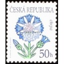 0378 - Kr&aacute;sa květů - Chrpa