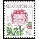 0379 - Kr&aacute;sa květů - Jiřina