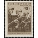 0615 - Voj&aacute;ci při slavnostn&iacute;m pochodu