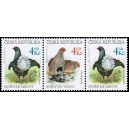 0180-0179 (3blok) - Tetř&iacute;vek + koroptev + tetř&iacute;vek
