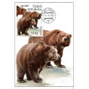 CM133 - ZOO Děč&iacute;n: medvěd hněd&yacute; grizzly