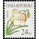 0466 - Kr&aacute;sa květů - Narcis
