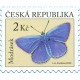 1093 - Modr&aacute;sek jehlicov&yacute;﻿