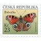 1103 - Mot&yacute;li: Babočka pav&iacute; oko
