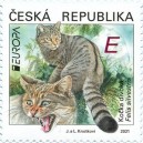 1116 - Kočka divok&aacute;