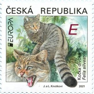 1116 - EUROPA: Ohrožen&aacute; n&aacute;rodn&iacute; divok&aacute; zvěř - kočka divok&aacute;