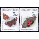 0212-0211 (2blok) - Hněd&aacute;sek + stužkonoska