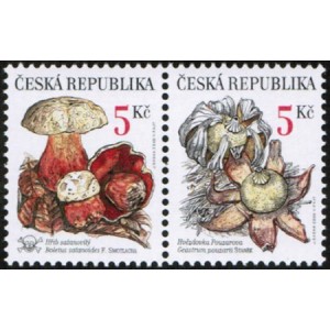 0264-0265 (2blok) - Vz&aacute;cn&eacute; houby: Hřib + Hvězdovka
