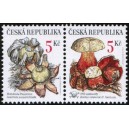0264-0265 (2blok) - Vz&aacute;cn&eacute; houby: Hvězdovka + Hřib