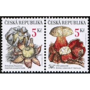 0264-0265 (2blok) - Vz&aacute;cn&eacute; houby: Hvězdovka + Hřib