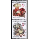 0264-0265 (2blok svisle) - Vz&aacute;cn&eacute; houby: Hřib + Hvězdovka