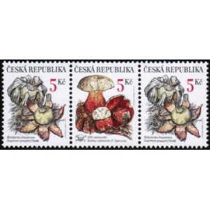 0264-0265 (3blok) - Vz&aacute;cn&eacute; houby: Hvězdovka + Hřib + Hvězdovka