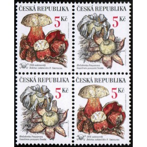 0264-0265 (4blok) - Vz&aacute;cn&eacute; houby: Hřib + Hvězdovka