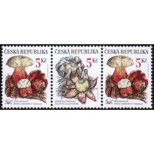 0264-0265 (3blok) - Vz&aacute;cn&eacute; houby: Hřib + Hvězdovka + Hřib