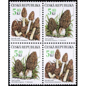 0266-0267 (4blok) - Vz&aacute;cn&eacute; houby: Kačenka + Smrž