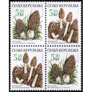 0266-0267 (4blok) - Vz&aacute;cn&eacute; houby: Smrž + Kačenka