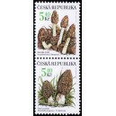 0266-0267 (2blok svisle) - Vz&aacute;cn&eacute; houby: Kačenka + Smrž