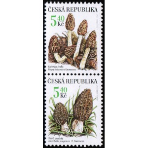 0266-0267 (2blok svisle) - Vz&aacute;cn&eacute; houby: Kačenka + Smrž