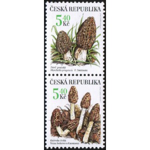0266-0267 (2blok svisle) - Vz&aacute;cn&eacute; houby: Smrž + Kačenka